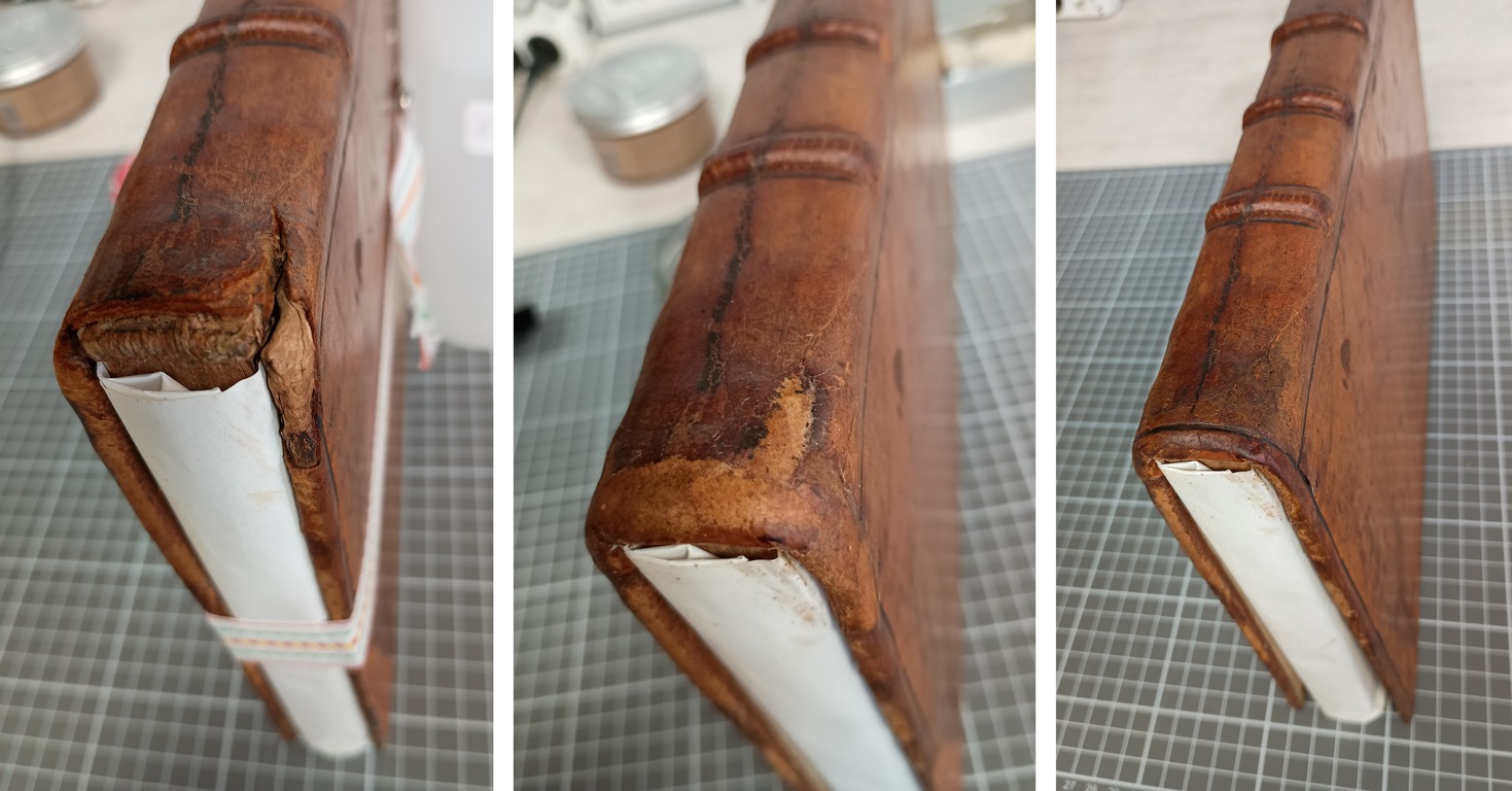 Restauration de coiffe